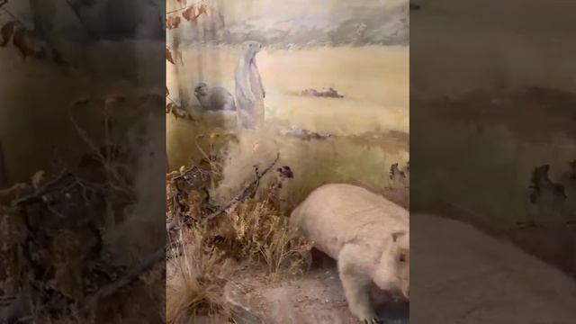 Посещение Национального музея смотреть онлайн