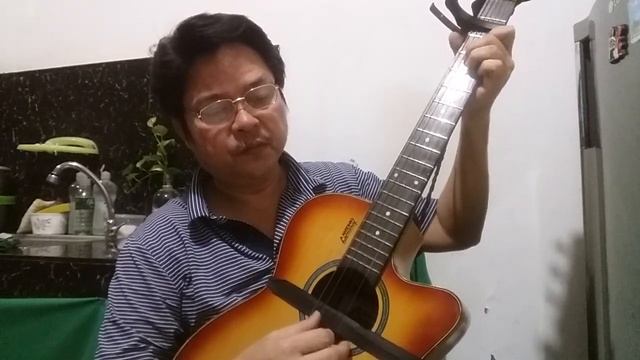 "Greenfields" (Guitar Cover) #fourbrothers смотреть онлайн