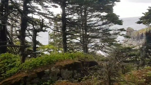 Царство камней (мыс Быкова) . та еще поездка получилась смотреть онлайн