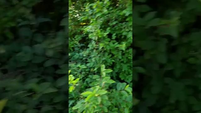 Коп. Очень много гильз смотреть онлайн