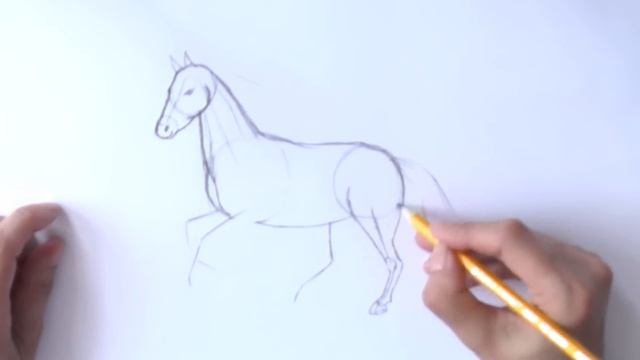 Уроки рисования. Как научиться рисовать лошадь карандашом | Art School смотреть онлайн