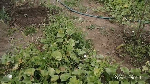 Поездка на велике на дачу смотреть онлайн
