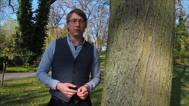 Flechten im Park - Luftqualität in der Stadt monitoren смотреть онлайн