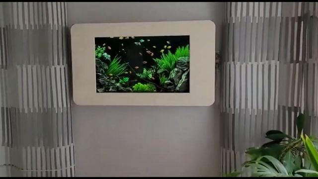 Настенный аквариум - картина смотреть онлайн