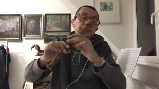 F. Couperin, Canaries (1713) for soprano recorder and harpsichord смотреть онлайн