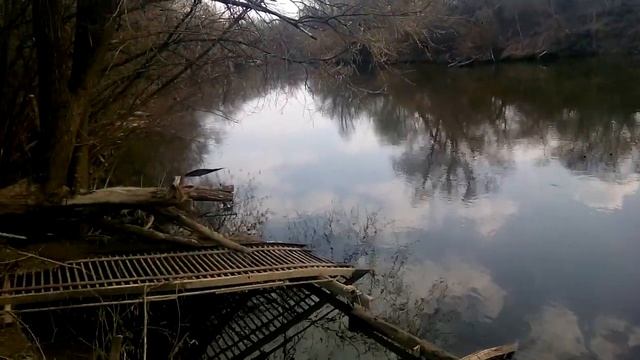Рыбалка на донку на Протве 22.04.2019г * смотреть онлайн