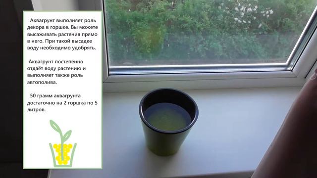 Аквагрунт смотреть онлайн
