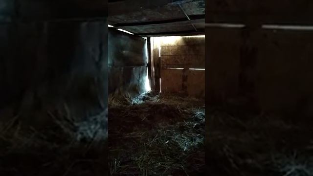 ясли для телят новорожденных смотреть онлайн