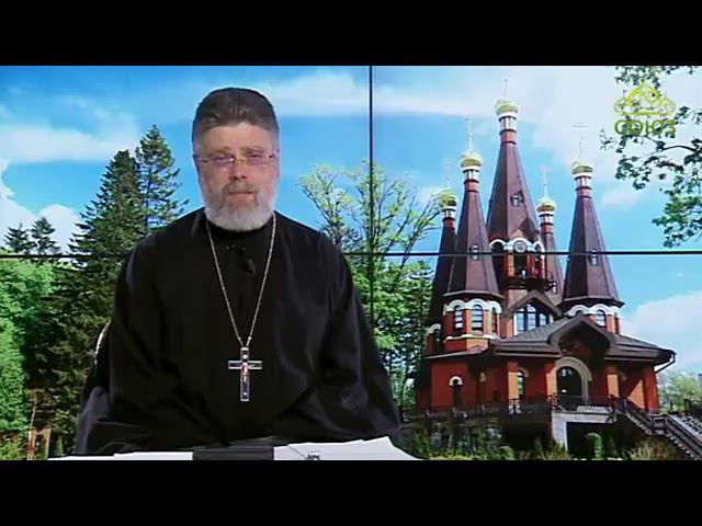 "Возвышенность любви: Раскрытие смысла слов Христа и Петра" смотреть онлайн