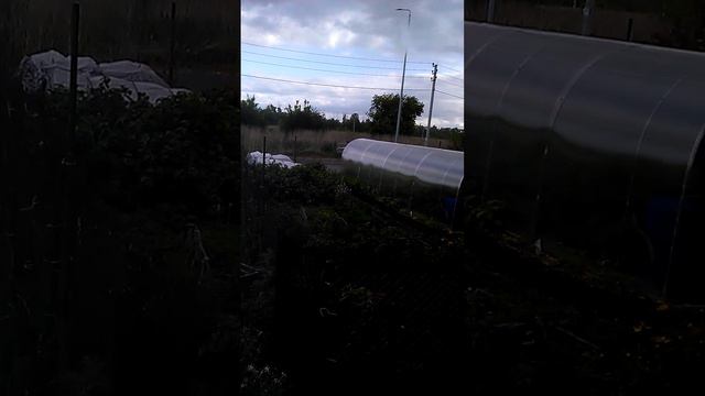 Пасмурная погода. смотреть онлайн