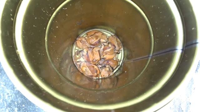 Новая наживка на налима! Рыбалка на жерлицы, ловим на моллюска! смотреть онлайн