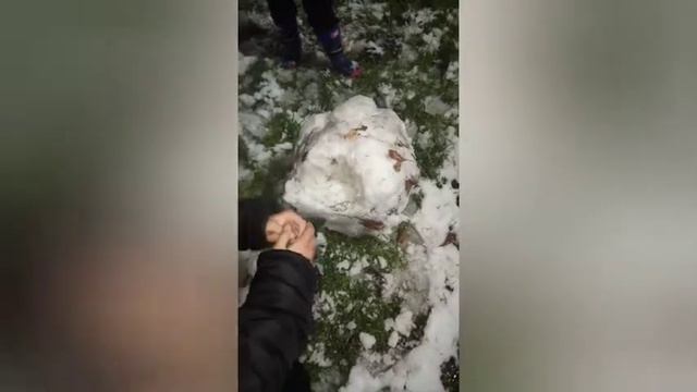 Что я делаю когда есть снег