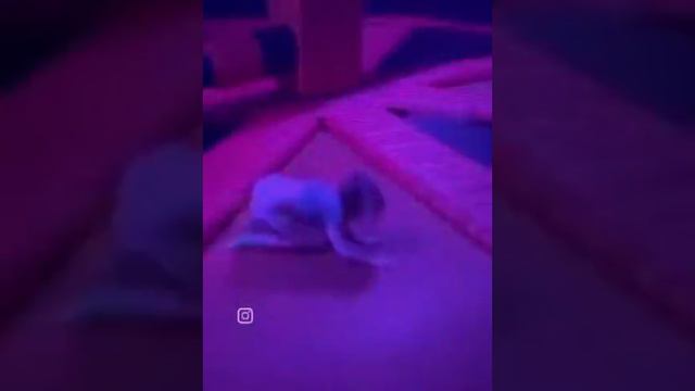 Нормально ... смотреть онлайн