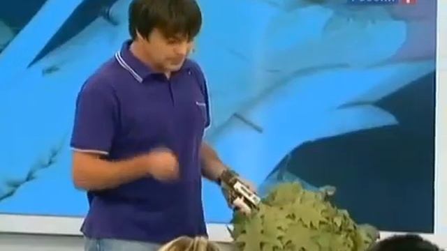 Веники для бани смотреть онлайн
