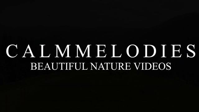 Relajación Curativa Intensa Anti Depresión, Estrés y Ansiedad, Energía Positiva Sueño Profundo #55 смотреть онлайн