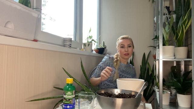 Паразиты и как с ними бороться смотреть онлайн