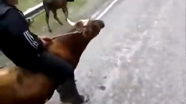 нижний чегем смотреть онлайн