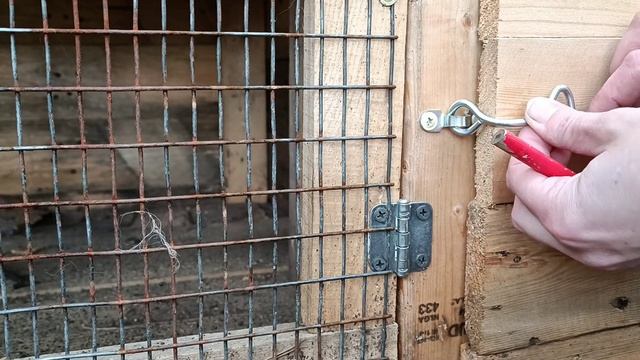 Закрывашки на домик для кроликов! смотреть онлайн