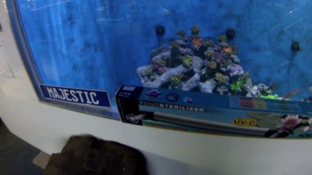 Review of the new Aquael UV sterilizer for aquariums and ponds смотреть онлайн