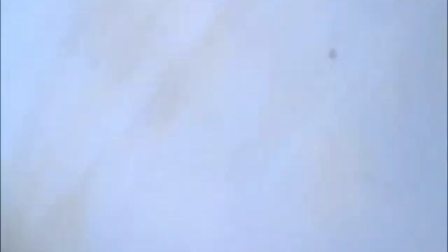 Деревянный пол шпаклюем красим чем и как или заменить на ламинат смотреть онлайн