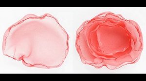 Цветы из органзы