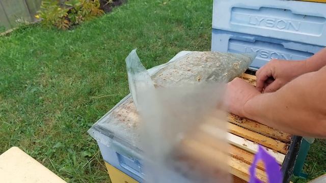 Пчёлы. Это надо ОБЯЗАТЕЛЬНО сделать в августе. смотреть онлайн