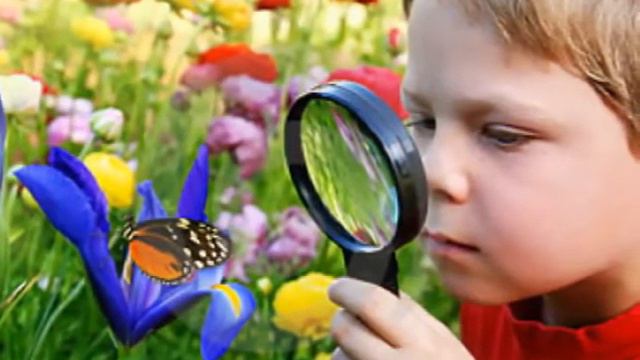 El Nio y La Mariposa Rafael Pombo смотреть онлайн