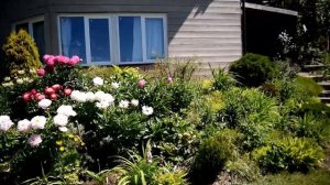 Как сформировать идеальную кромку газона