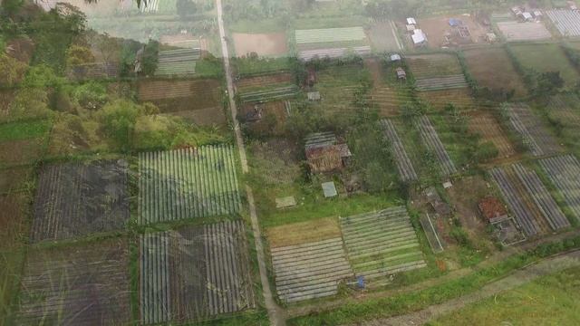 Бедугул Бали, Видео с квадрокоптера, Бали 2016, Bedugul Bali 2016 смотреть онлайн