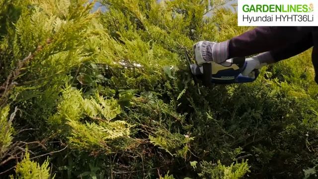 Hyundai 36V Cordless Hedge Trimmer with Battery and Charger смотреть онлайн