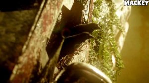 The Last of Us 3 Official Reveal Trailer | PS5