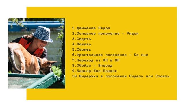 #дрессировка 10 Навыков в Послушании, которые нужно освоить при дрессировке щенка по IGP. смотреть онлайн