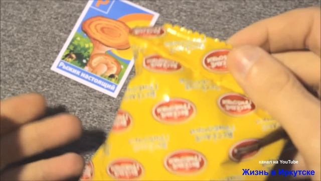 Печенье ВЕСЕЛЫЕ ГРИБОЧКИ смотреть онлайн