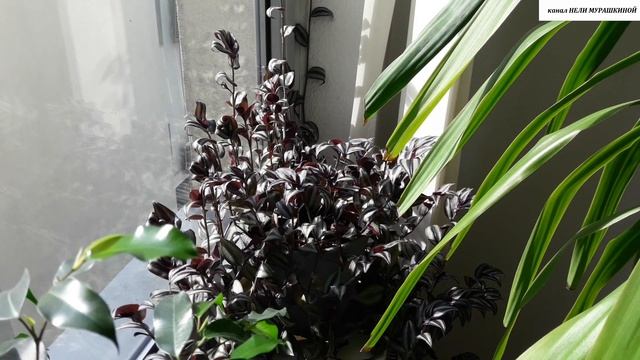 Строительный Арсенал