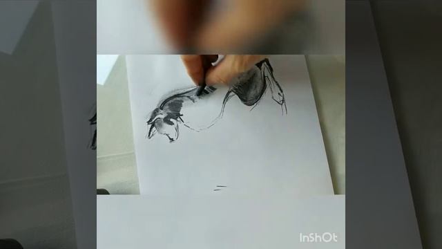 Рисунок собаки углем . смотреть онлайн