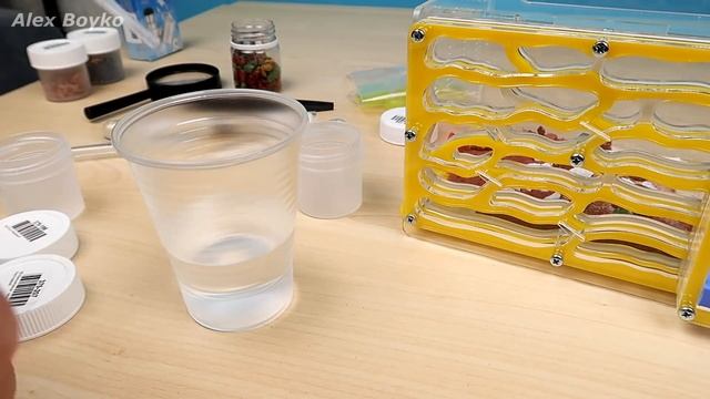 Моя новая Муравьиная ферма Blackant! Распаковка и заселение! Новый Формикарий! alex boyko смотреть онлайн