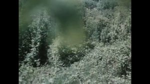 Дети капитана Гранта. 4-серия. Эпизод: «Ни одна псина не уйдёт...!»