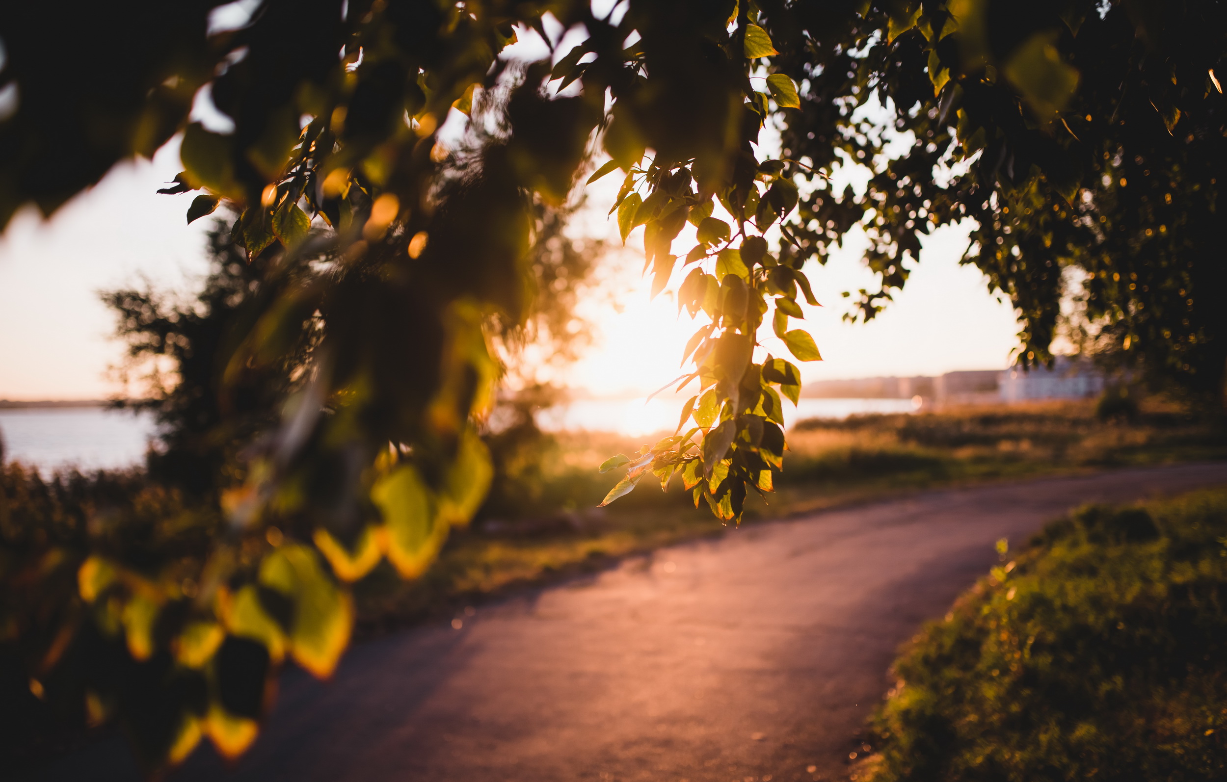 Закат на озере с расслабляющими звуками смотреть онлайн
