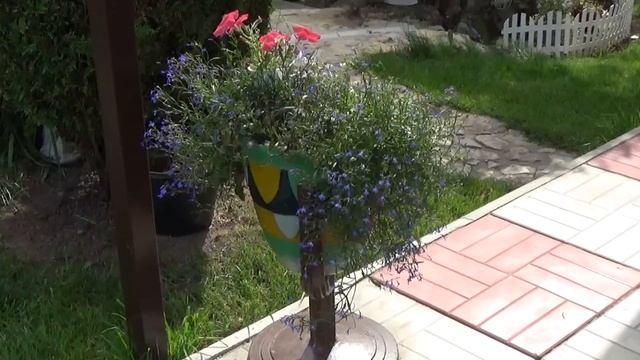 Дача Сад в последние дни лета Красок еще хватает. смотреть онлайн