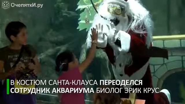 Посадили Дед Мороза в аквариум смотреть онлайн