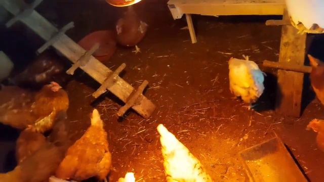 Танцевальные эскапады