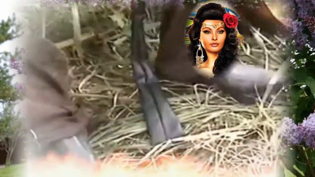 Мне теперь все равно. Сам во всем виноват! Классная новинка на Ютуб!