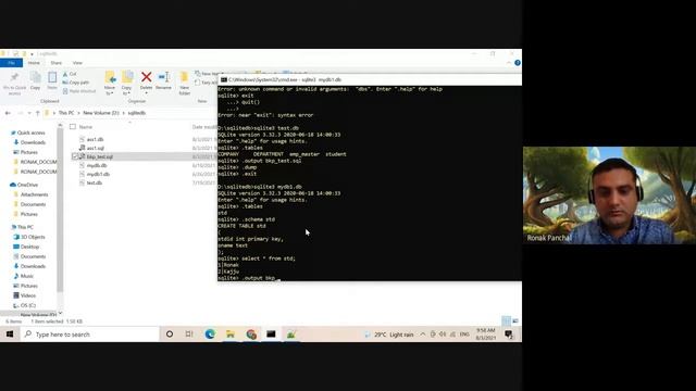 SQLite dump command for backup in text file of specific table or full database | Dr. Ronak Panchal смотреть онлайн
