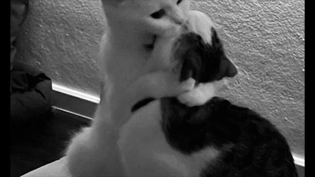 Kara Deri - Вернёшься (Может ты вернешься все же хорошо) ? Slowed