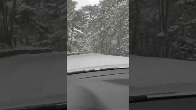 Nokian WR D4 snow test смотреть онлайн