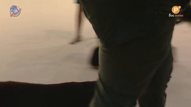 WDS 2021 BRNO - Friday, part II смотреть онлайн