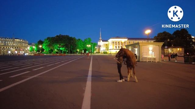 Ночной трип по центру Санкт-Петербурга смотреть онлайн
