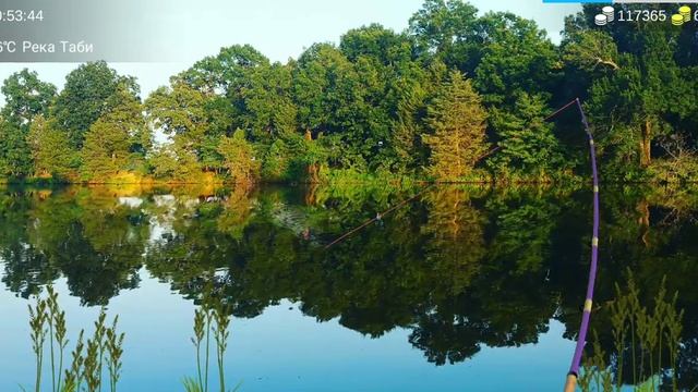 28)My Fishing World Спиннинг на реке Таби!? смотреть онлайн