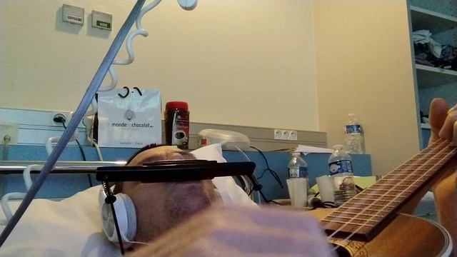 Well meet again de Very Lynn instru ukulélé harmonica смотреть онлайн