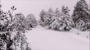 Валентина Толкунова - Кабы не было зимы #ВалентинаТолкунова #Кабынебылозимы